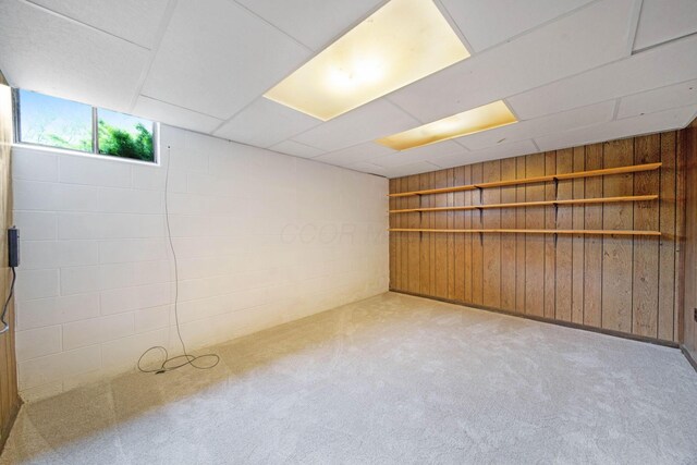 299 Sherwood Downs S, Newark, OH 43055 - basement with wood walls and carpet flooring