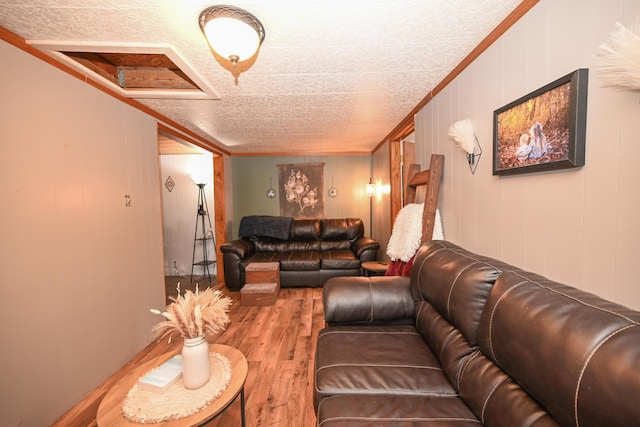 6566 S St, Marion, OH 43302 - living area featuring wood finished floors, a textured ceiling, and ornamental molding