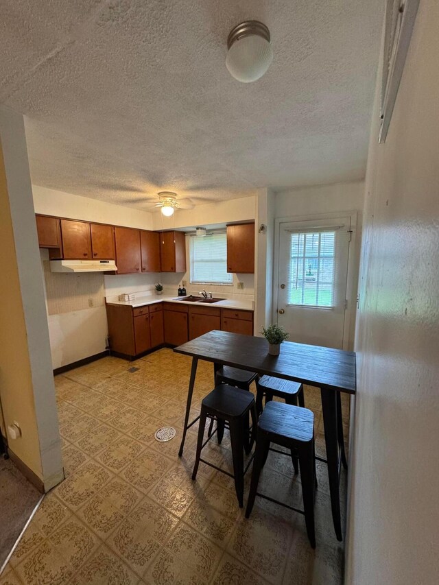 2348 Woodbrook Cir N Unit 86, Columbus, OH 43223 - kitchen with under cabinet range hood, a sink, a textured ceiling, baseboards, and light countertops