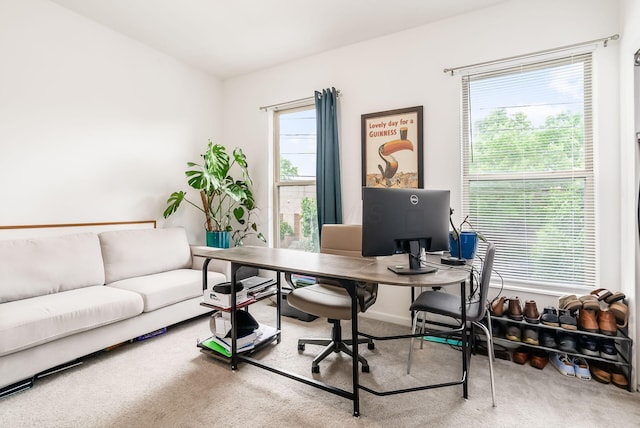 797 S Front St, Columbus, OH 43206 - home office with carpet