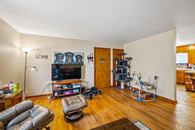 320 N 3rd St, Coshocton, OH 43812 - living area featuring light wood-style flooring and baseboards