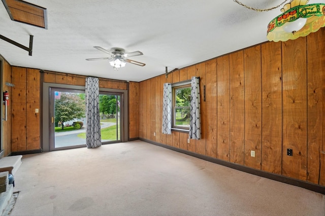1244 N Broad St, Lancaster, OH 43130 - unfurnished room with wooden walls, carpet floors, plenty of natural light, and a ceiling fan