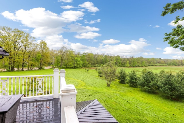 6509 Olentangy River Rd, Delaware, OH 43015 - photo 83