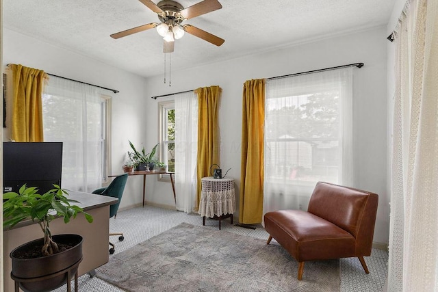 2690 Kingston Ave, Grove City, OH 43123 - home office featuring carpet, a ceiling fan, a textured ceiling, and baseboards