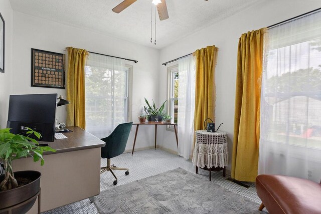 2690 Kingston Ave, Grove City, OH 43123 - home office featuring carpet, a ceiling fan, and baseboards