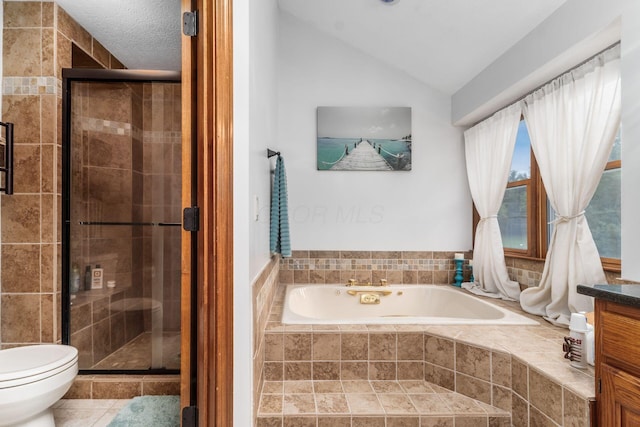 1861 Ginder Rd NW, Lancaster, OH 43130 - bathroom with a garden tub, toilet, a stall shower, vaulted ceiling, and vanity