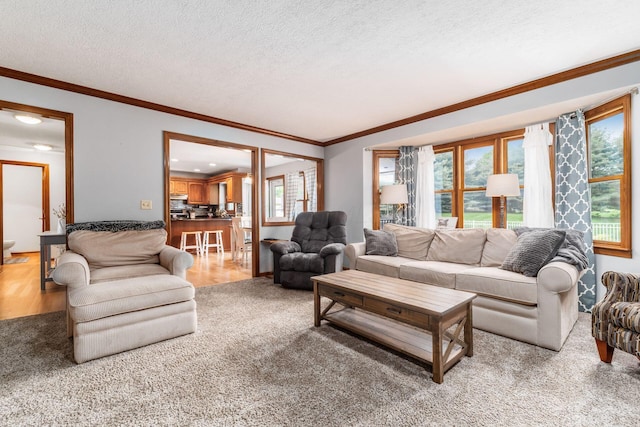 1861 Ginder Rd NW, Lancaster, OH 43130 - living room with crown molding, a textured ceiling, and carpet floors
