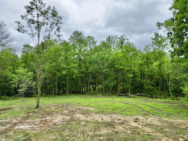 10100 Honda Hills Rd, Thornville, OH 43076 - photo 1