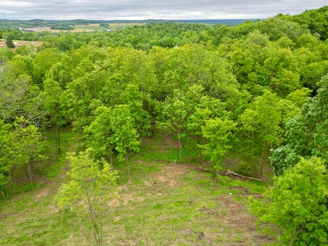 10100 Honda Hills Rd, Thornville, OH 43076 - photo 3