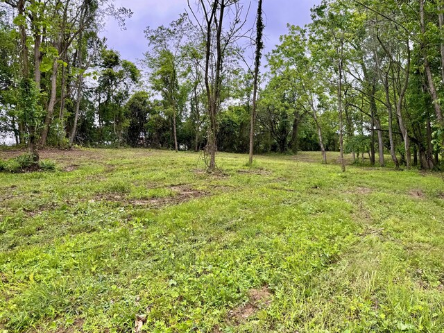 10100 Honda Hills Rd, Thornville, OH 43076 - photo 17