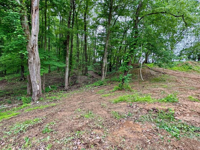 10100 Honda Hills Rd, Thornville, OH 43076 - photo 33