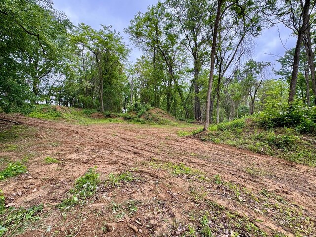 10100 Honda Hills Rd, Thornville, OH 43076 - photo 34