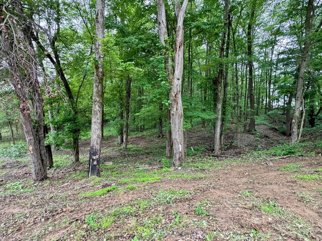 10100 Honda Hills Rd, Thornville, OH 43076 - photo 35