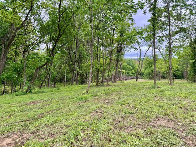 10100 Honda Hills Rd, Thornville, OH 43076 - photo 5