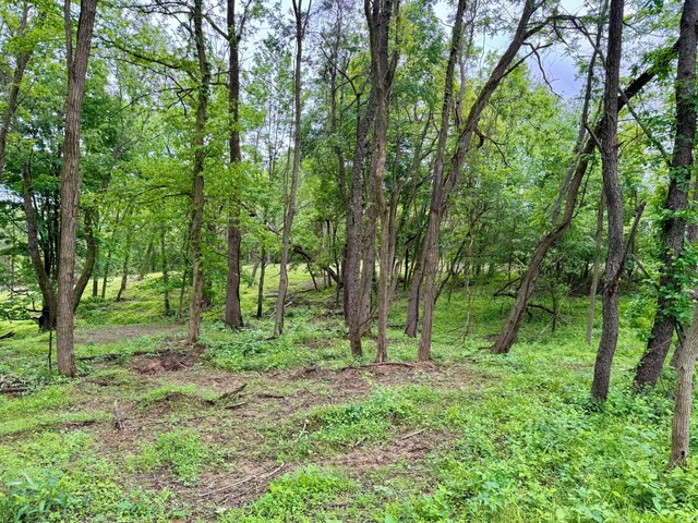 10100 Honda Hills Rd, Thornville, OH 43076 - photo 39