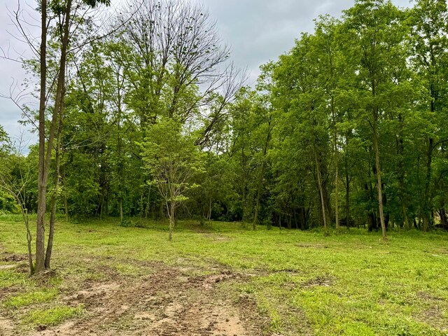 10100 Honda Hills Rd, Thornville, OH 43076 - photo 41