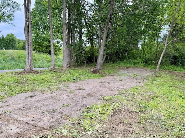10100 Honda Hills Rd, Thornville, OH 43076 - photo 42