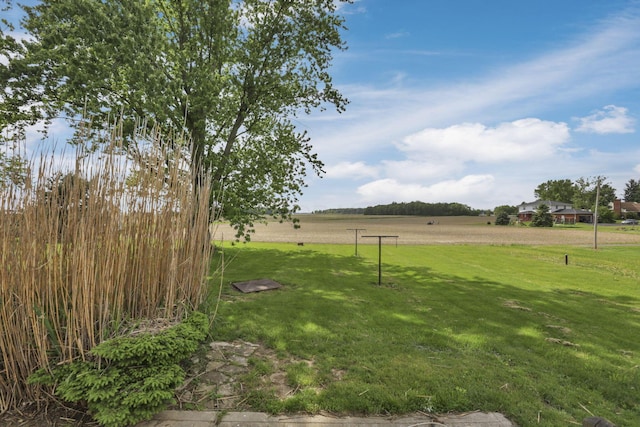6880 Sandusky Ave, Chatfield, OH 44825 - view of grassy yard