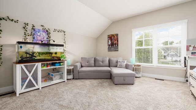 9481 Vista Point Dr, Thornville, OH 43076 - photo 50