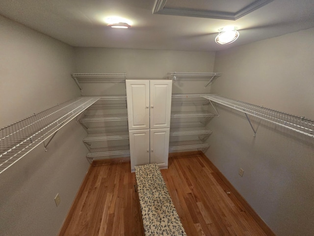 62 Scioto St, Powell, OH 43065 - walk in closet featuring light wood-style flooring
