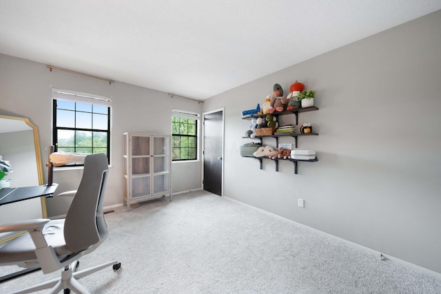 7914 Verandah Ct Unit 61, Powell, OH 43065 - carpeted office space featuring baseboards