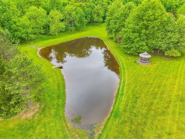5081 Carters Corner Rd, Sunbury, OH 43074 - drone / aerial view of a nearby body of water