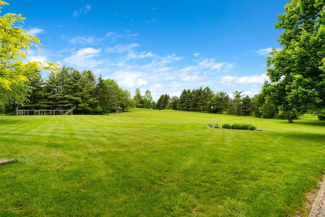5081 Carters Corner Rd, Sunbury, OH 43074 - view of yard with view of scattered trees
