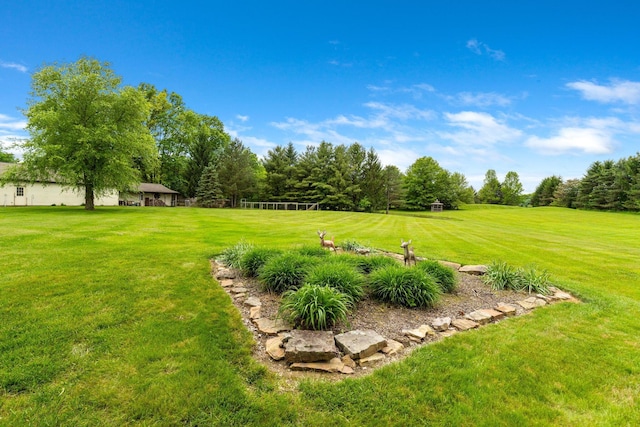 5081 Carters Corner Rd, Sunbury, OH 43074 - view of grassy yard