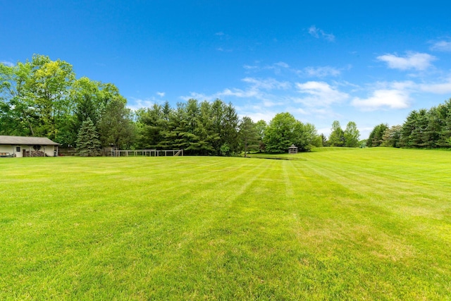 5081 Carters Corner Rd, Sunbury, OH 43074 - view of yard