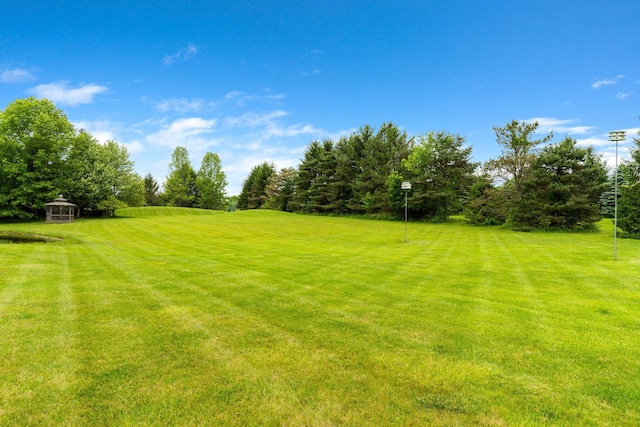 5081 Carters Corner Rd, Sunbury, OH 43074 - view of green lawn featuring view of scattered trees