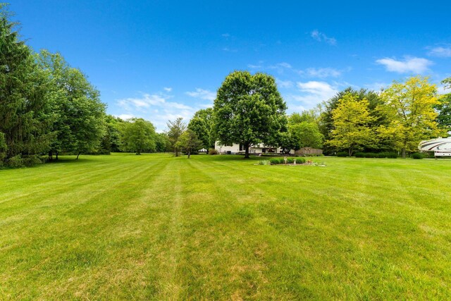 5081 Carters Corner Rd, Sunbury, OH 43074 - view of grassy yard