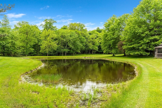 5081 Carters Corner Rd, Sunbury, OH 43074 - water view featuring a heavily wooded area and a gazebo
