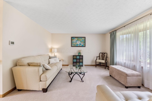 5081 Carters Corner Rd, Sunbury, OH 43074 - living room with light carpet, a textured ceiling, and baseboards