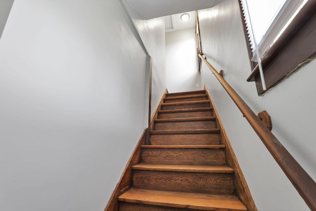 309 Dana Ave, Columbus, OH 43223 - photo 23