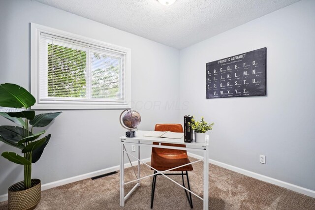 3783 Laguna Dr, Columbus, OH 43232 - carpeted office space with baseboards and a textured ceiling