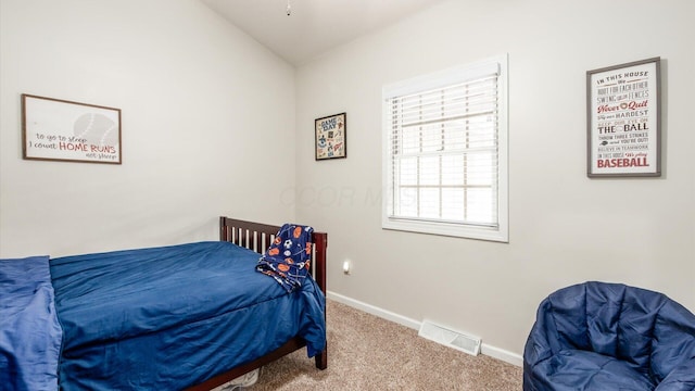 2145 Welsh Hills Rd NE, Granville, OH 43023 - bedroom featuring carpet floors, baseboards, and vaulted ceiling