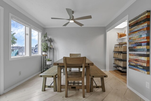 4945 Walnut Rd Unit 6, Buckeye Lake, OH 43008 - dining room featuring a ceiling fan, light wood-style flooring, ornamental molding, and baseboards