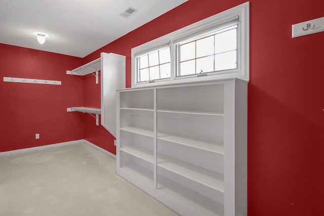 736 Eton St, Marion, OH 43302 - spacious closet with carpet floors