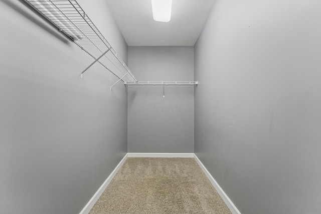 145 N High St Unit 300, Columbus, OH 43215 - walk in closet with carpet flooring
