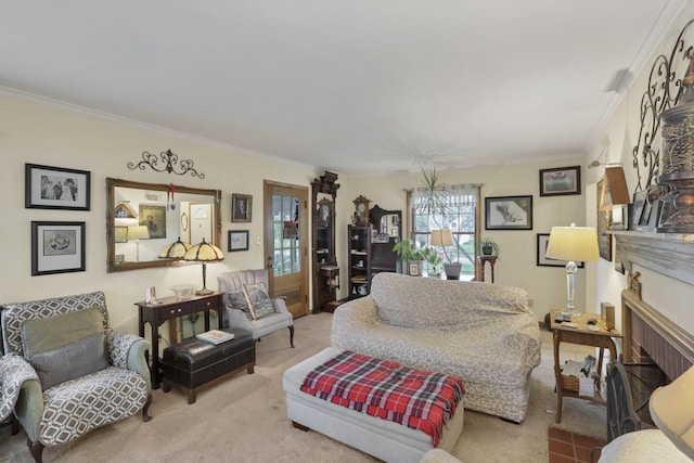 1470 Berkshire Rd, Columbus, OH 43221 - living area featuring ornamental molding, carpet, and a fireplace