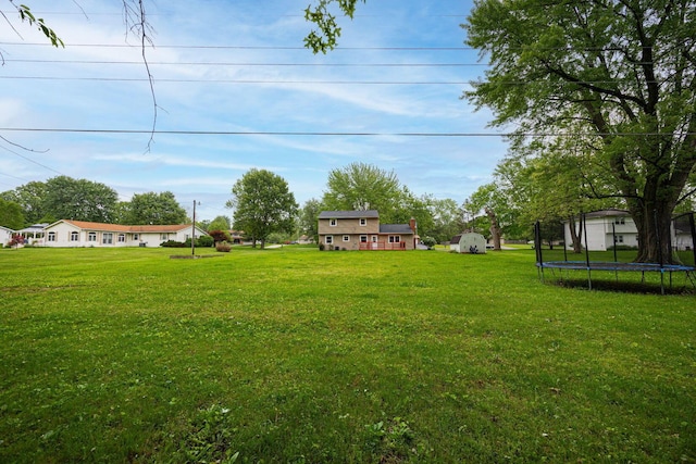 13789 Cobblestone Ln, Pickerington, OH 43147 - view of green lawn with a trampoline
