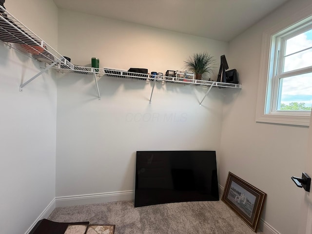 2497 Nelson Ln, Delaware, OH 43015 - walk in closet featuring carpet flooring