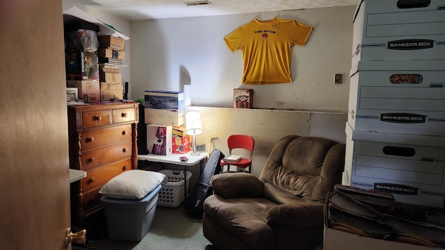 14780 Bellepoint Rd, Ostrander, OH 43061 - sitting room with a textured ceiling