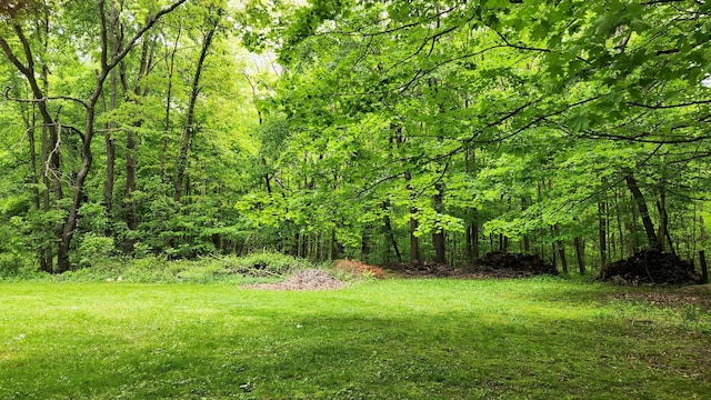 14780 Bellepoint Rd, Ostrander, OH 43061 - view of grassy yard featuring a wooded view