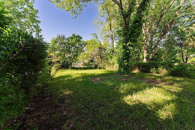 1747 E 25th Ave, Columbus, OH 43219 - view of yard