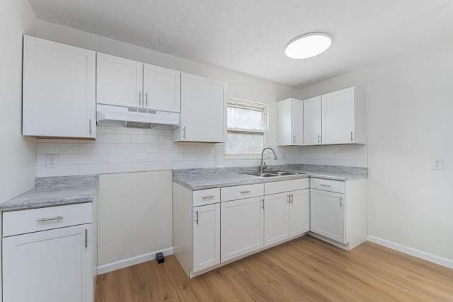 1747 E 25th Ave, Columbus, OH 43219 - kitchen with under cabinet range hood, a sink, light wood-style floors, white cabinetry, and backsplash