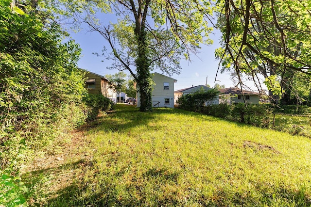 1747 E 25th Ave, Columbus, OH 43219 - view of yard