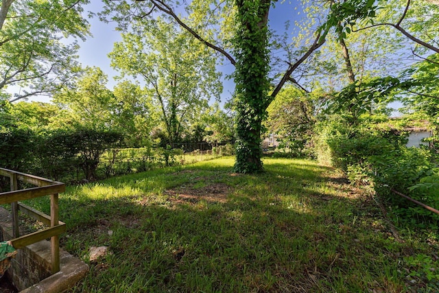 1747 E 25th Ave, Columbus, OH 43219 - view of yard