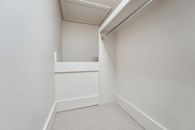 1884 W Lane Ave, Columbus, OH 43221 - walk in closet with carpet flooring and attic access