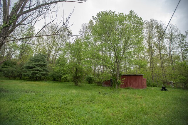 31966 Mccumber Rd, Dexter, OH 45741